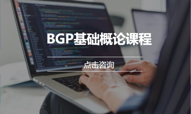 BGP基础概论课程